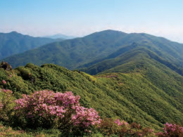 광덕산
